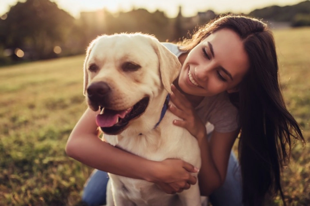 Vitamin B12 Deficiency in Dogs: Causes, Symptoms & Treatment