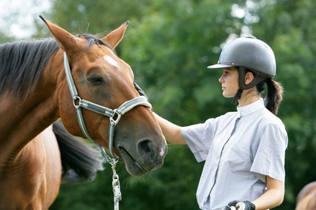 Learning to Horse Ride: Top 5 Mistakes Novice Riders Make
