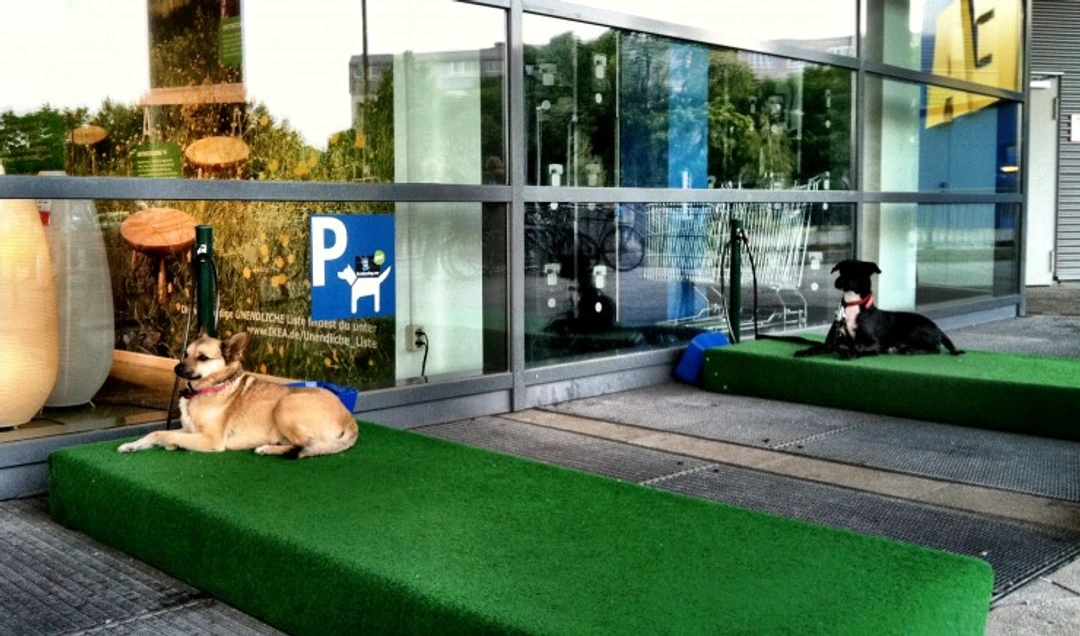 Will Ikea dog parking bays take off in the UK?