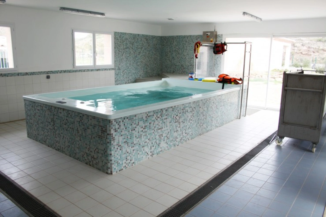 At-Home Canine Hydrotherapy: A Safe & Effective Guide