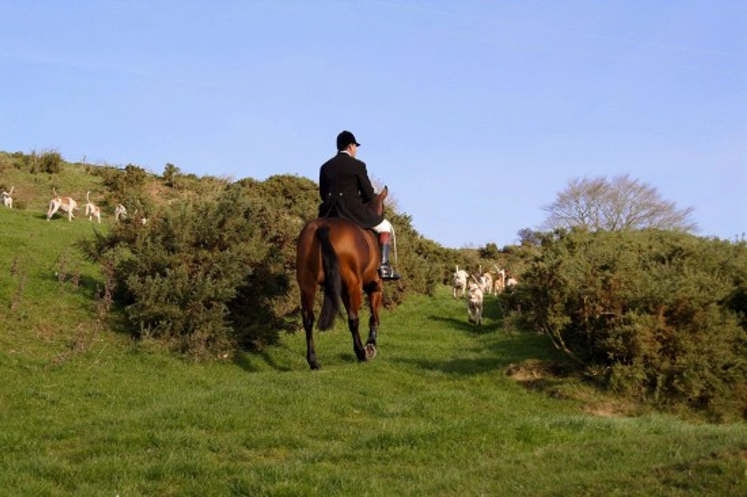 Introduction to drag hunting: UK guide to the sport