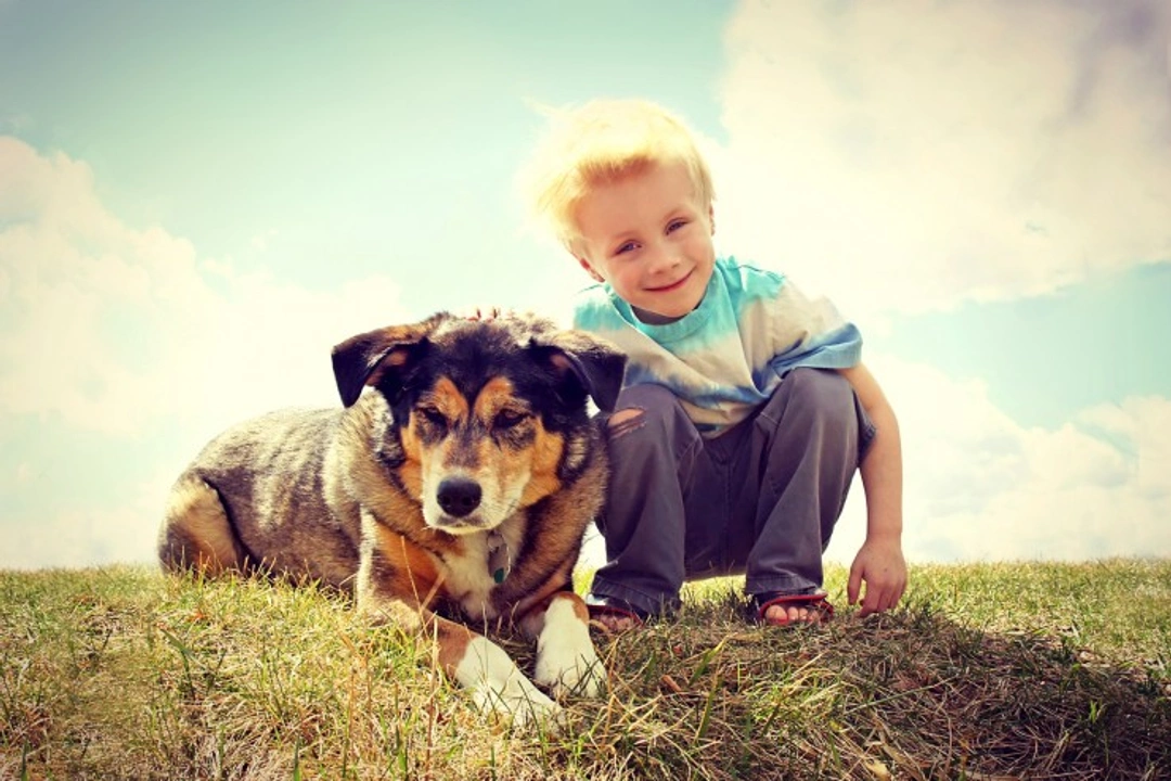 Why Children Are More Likely to Be Bitten by Dogs: Key Insights