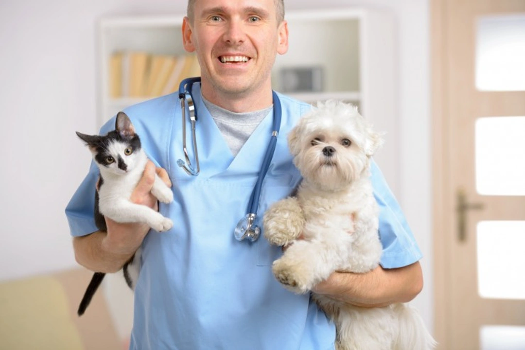 9 Essential Questions to Ask When Choosing Your New Vet