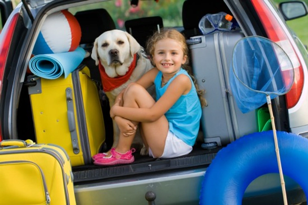Travelling with Pets: How to Survive Car Journeys Safely