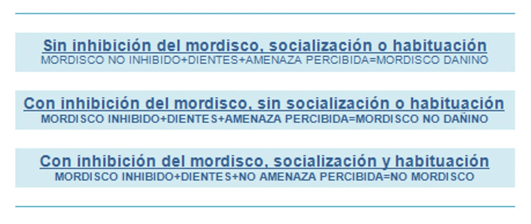 Por qué muerde un perro, y cómo inhibir su mordida