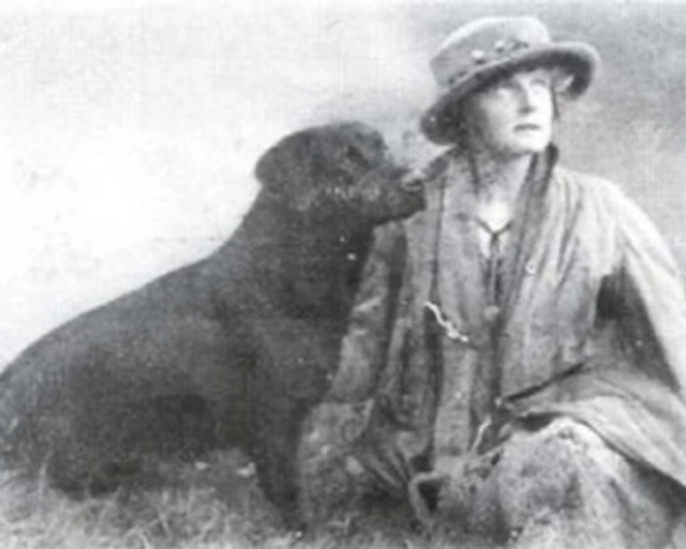 La storia e le origini del Labrador Retriever