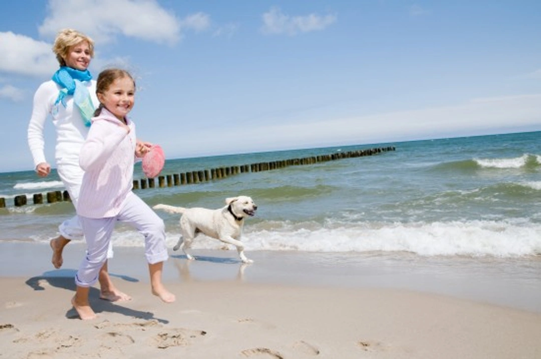 Therapeutic Benefits of Owning a Dog: Science & Wellbeing