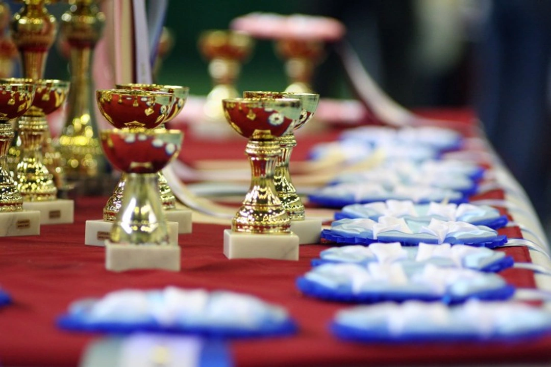 Cat Show Titles and Rosettes Explained: Your 2025 Guide