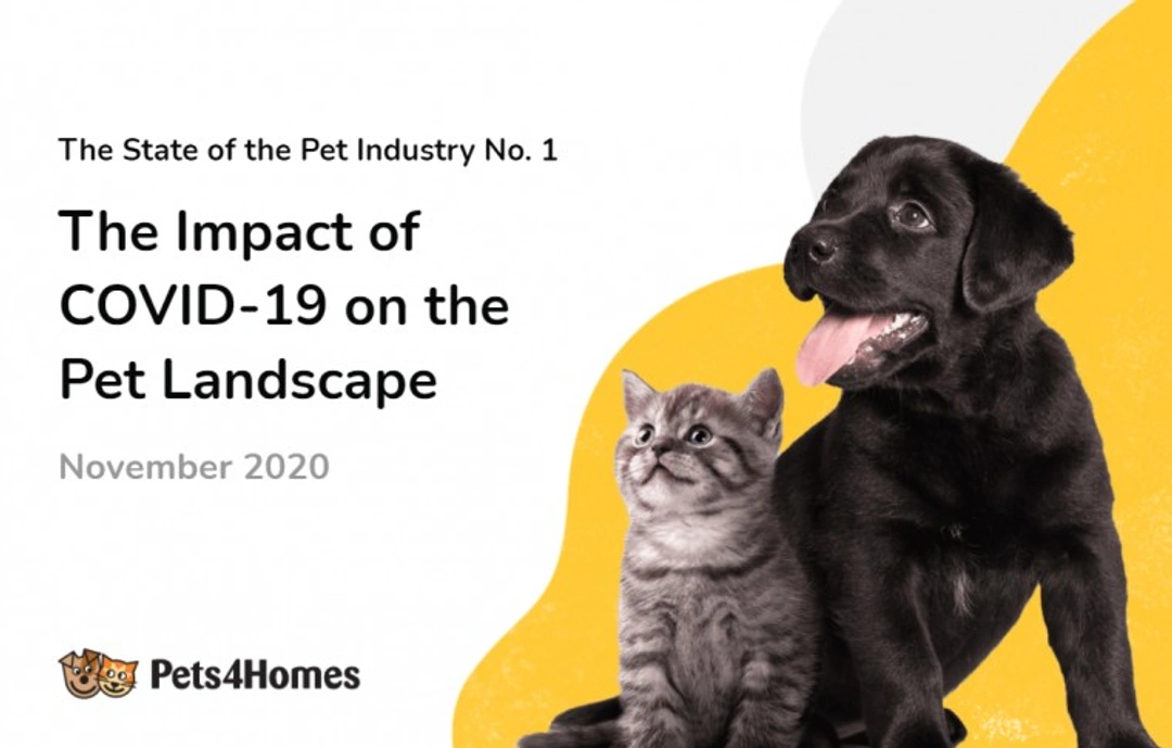 Pandemic Pets: Covid-19's 2020 Impact on UK Pet Sales