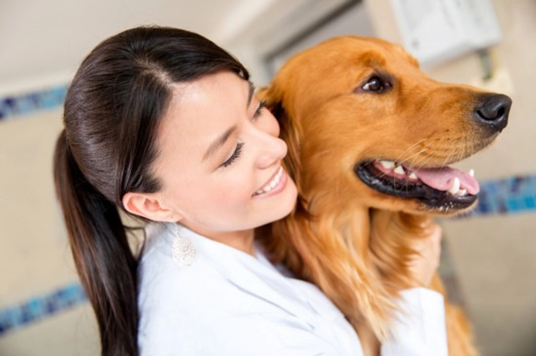 10 Essential Questions Dog Owners Should Ask Their Vet