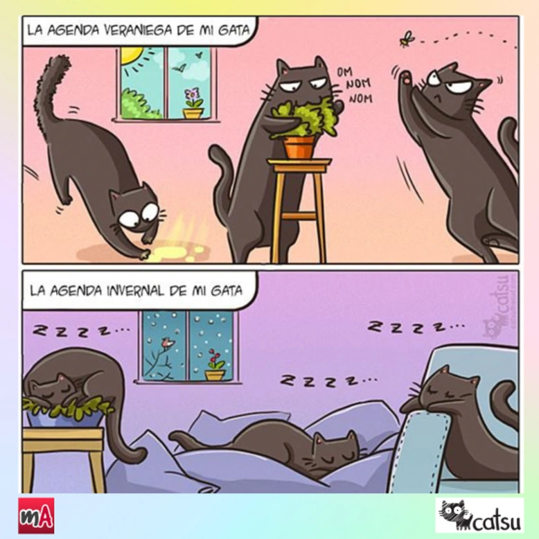 Cómics divertidos de perros y gatos