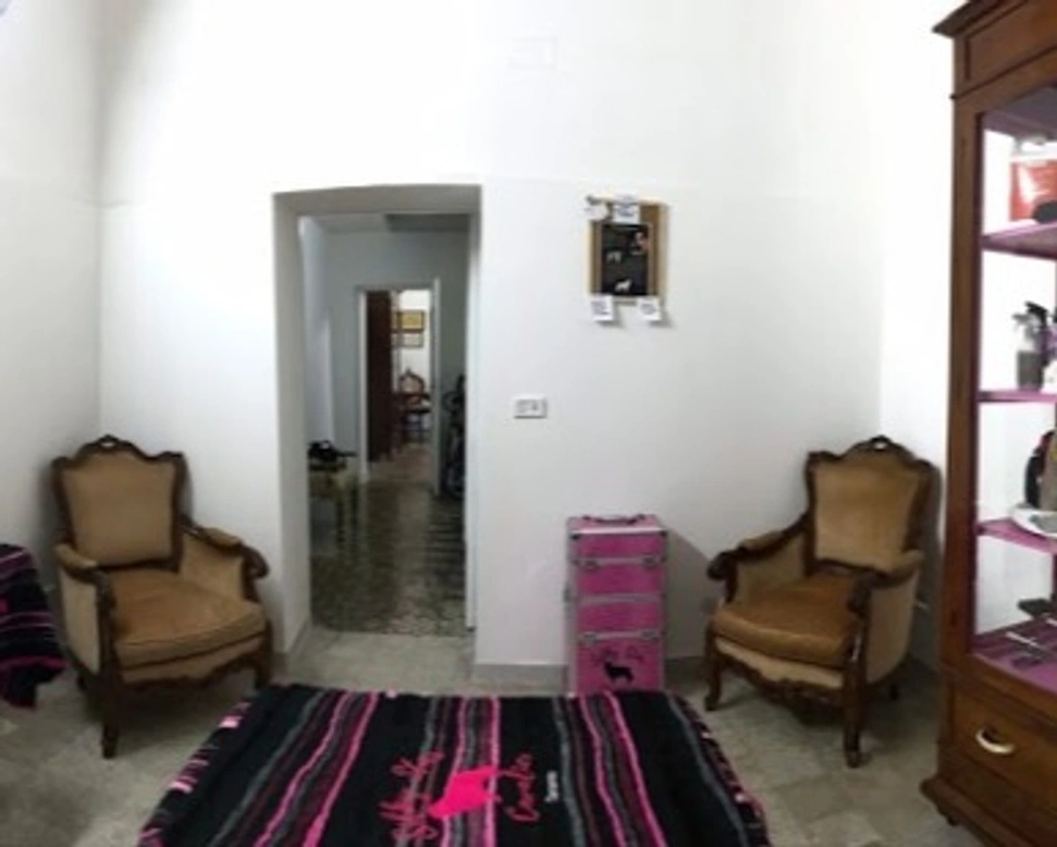 ALLEVAMENTO: TOELETTATURA SILKYSTAR