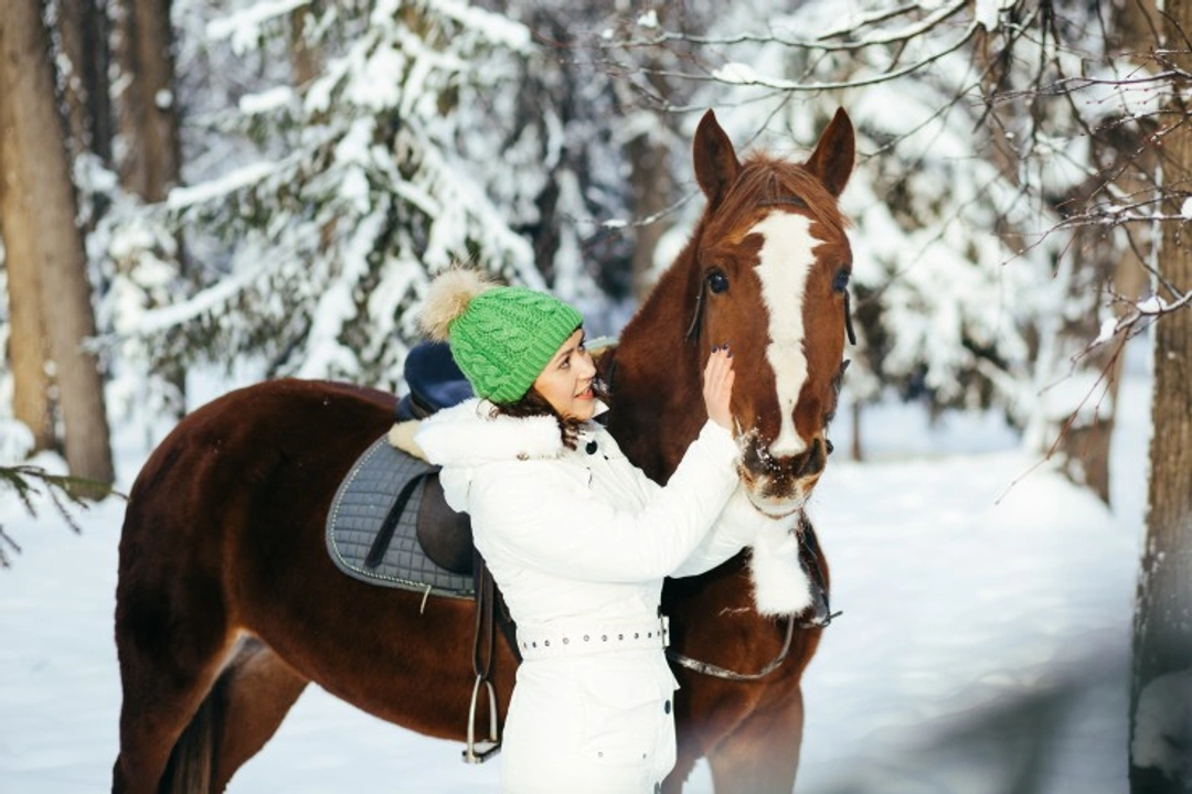 12 Unique Christmas Presents for Horse Lovers