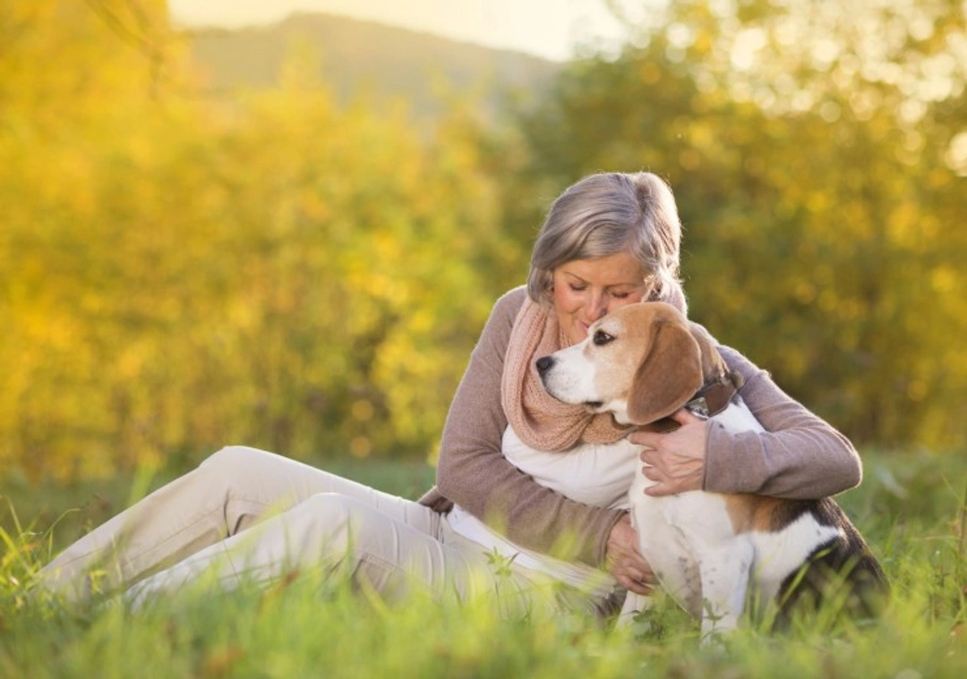 5 Best Dog Breeds for Retirement Companionship