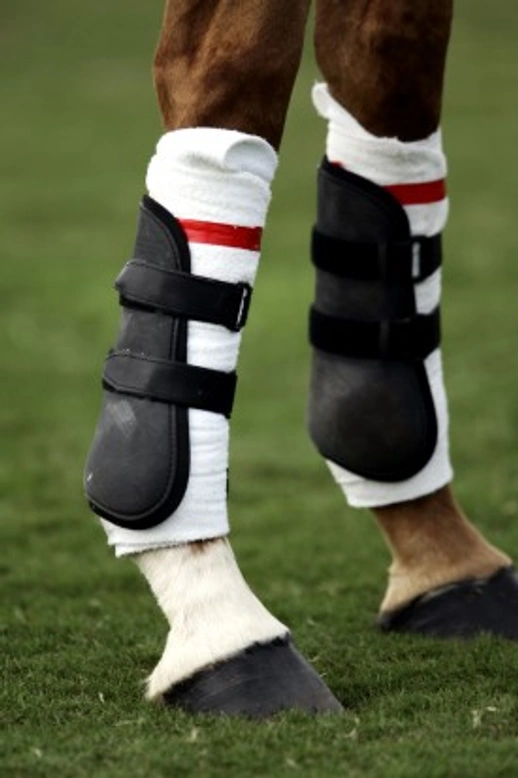 What Boots Should My Horse Wear? A 2025 Guide