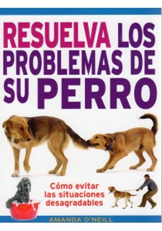 Travesuras en el paseo: Mi perro no vuelve cuando va sin correa