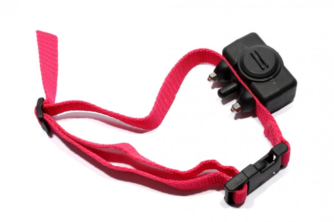 UK Government Consultation on Ban of Electric Shock Collars