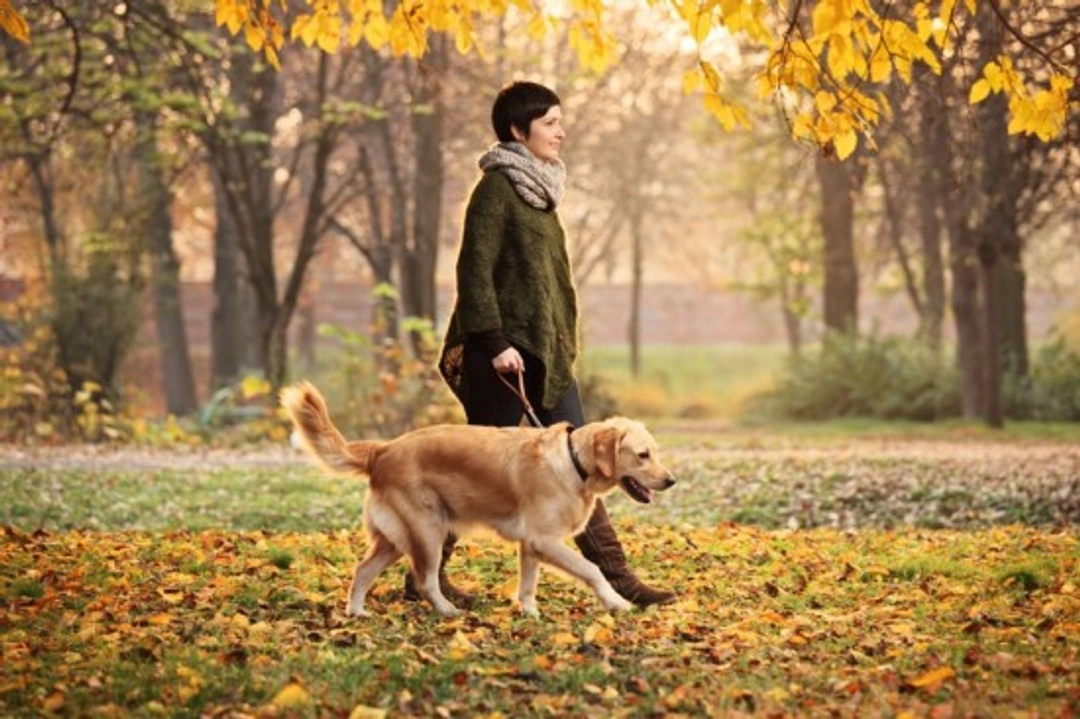 Environmentally Friendly Pet Care: 10 Greener Choices for 2025