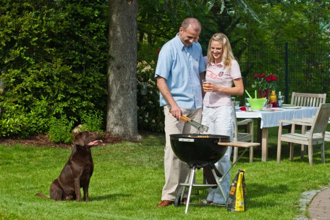 Summer Safety Tips for Your Dog at Barbecues