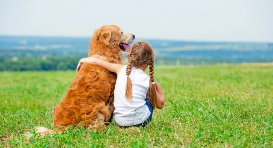 Managing Dog Aggression Toward Children: A Complete Guide