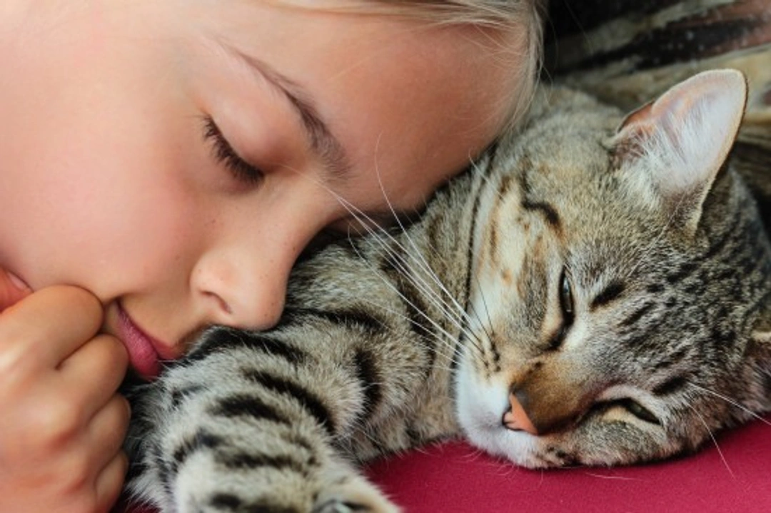 7 Remarkable Ways Cats Show Affection With Love