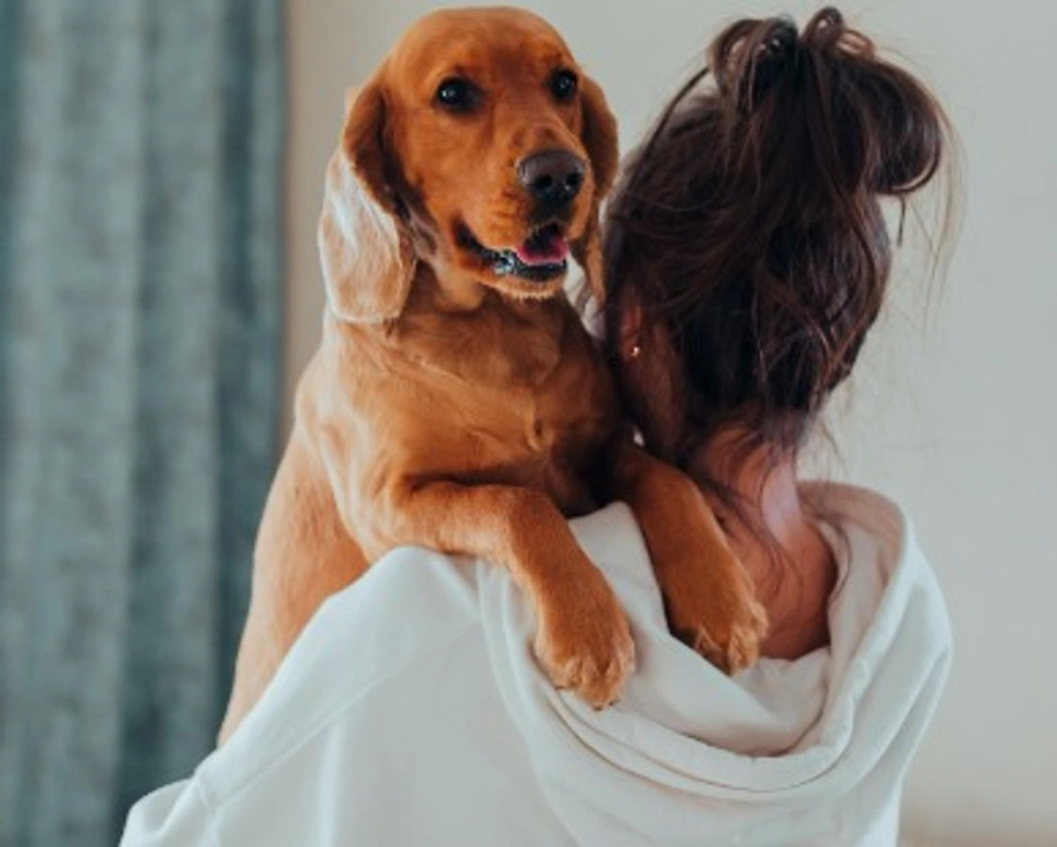 Addestramento cani: quando è la soluzione giusta