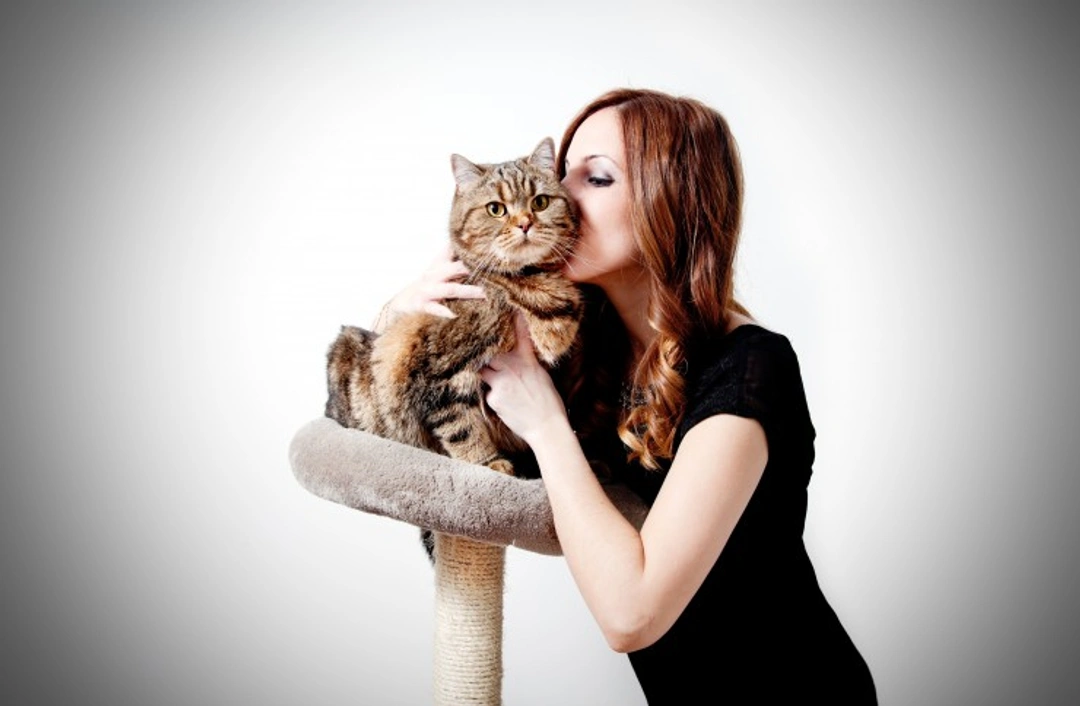 Pet Insurance: Is It Worth the Cost in 2025?