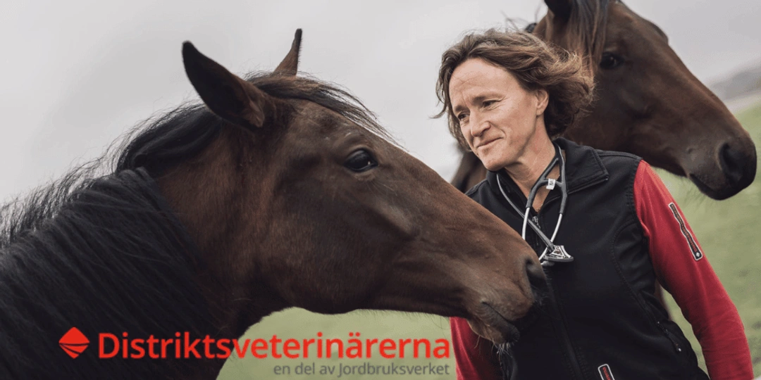 Vintern är här! Är du beredd på kolik och hur kan du förebygga?