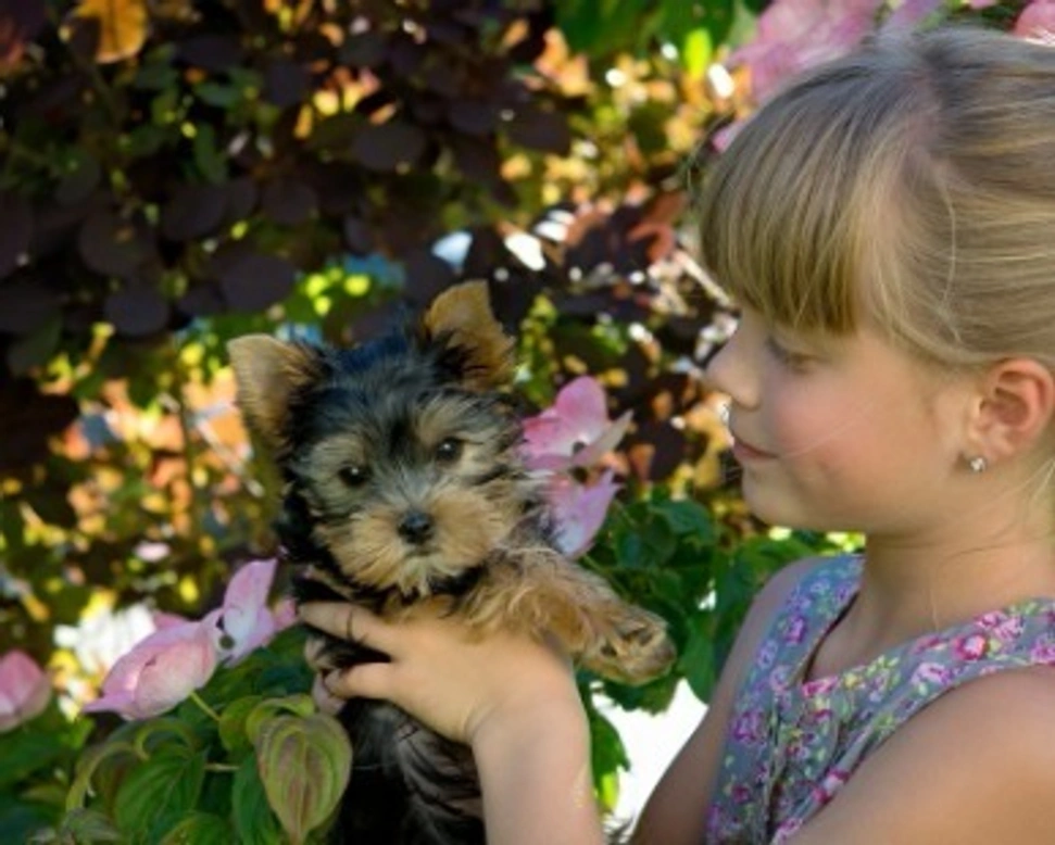 Cos'è la pet therapy: un cane o gatto per stare meglio