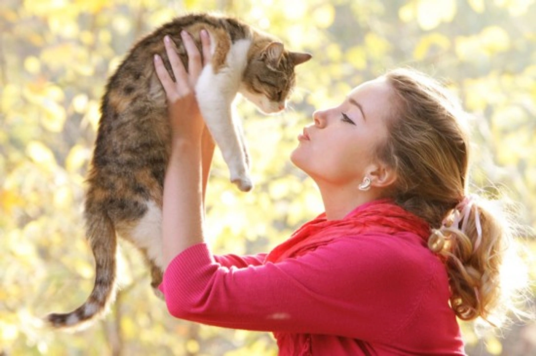 Avoiding Over-Humanisation of Your Cat: Essential Guide