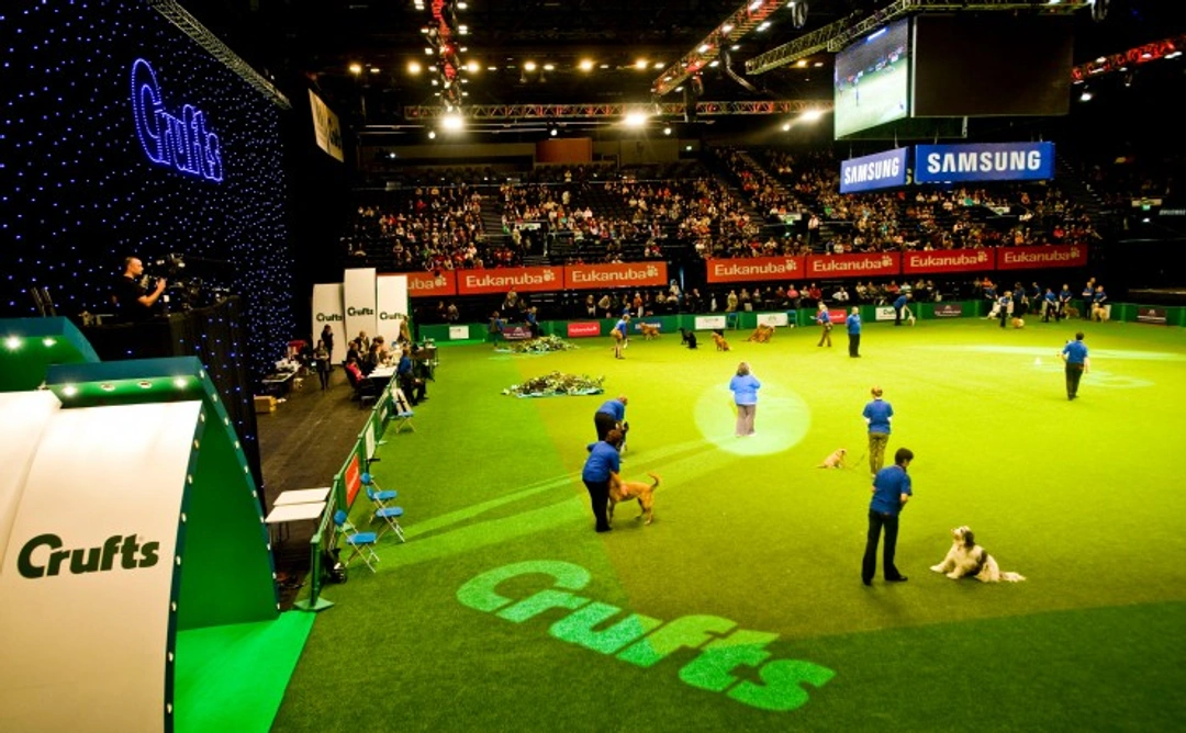 Why Crufts Dog Show Sparks Controversy: Facts & Insights