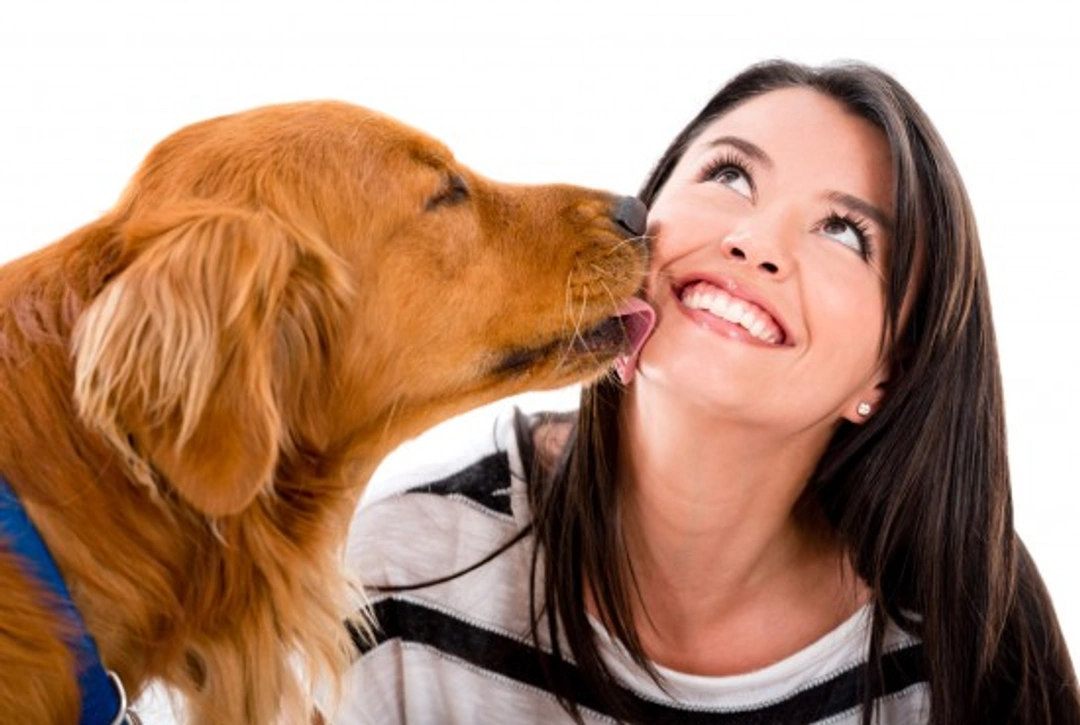 Minimising Canine Germs: Essential Hygiene Tips for Dog Owners