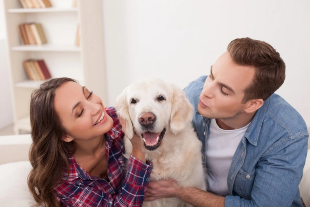 7 Things Couples Must Agree On Before Buying a Dog