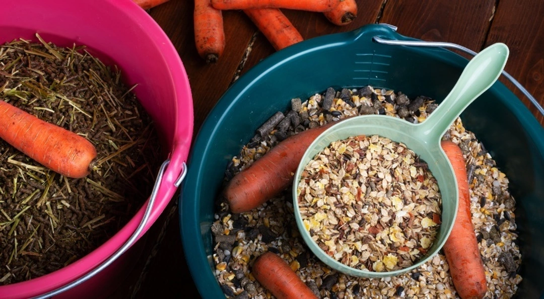 Tillskott - Behövs det?