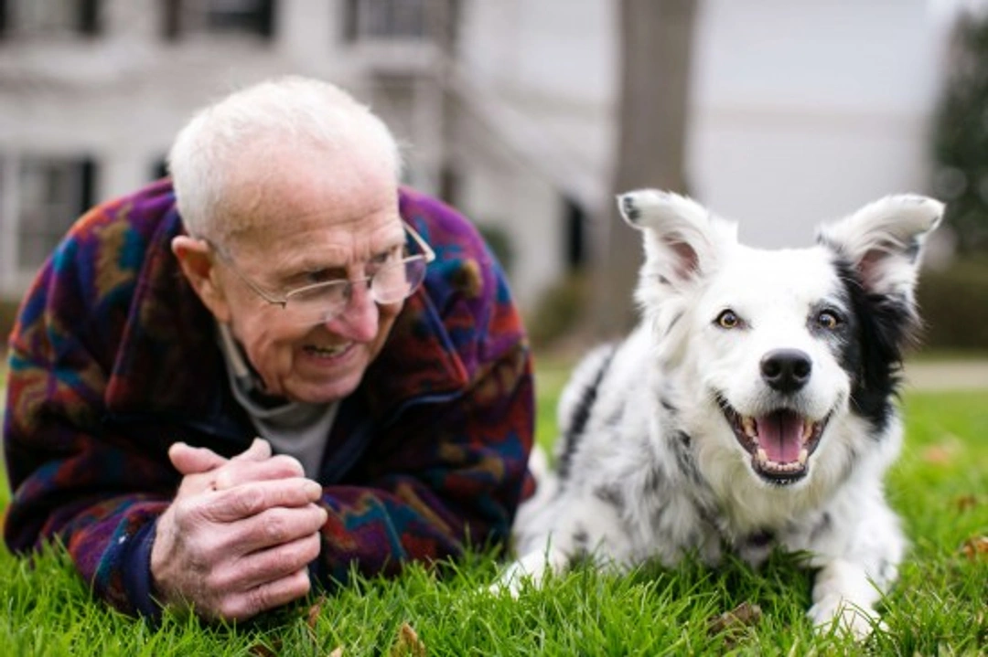 Chaser: The Remarkable Border Collie Understanding 1000+ Words