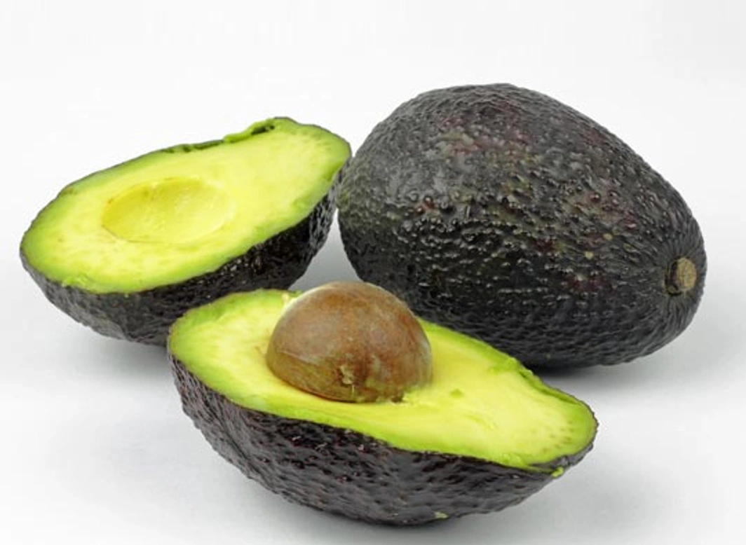 Pit en schil van avocado giftig voor honden
