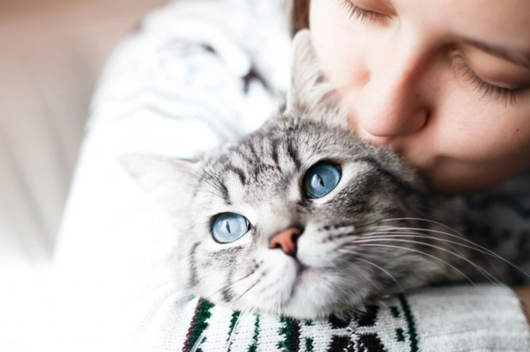 PDSA Cat Survey 2019 Highlights Responsible Ownership Gaps