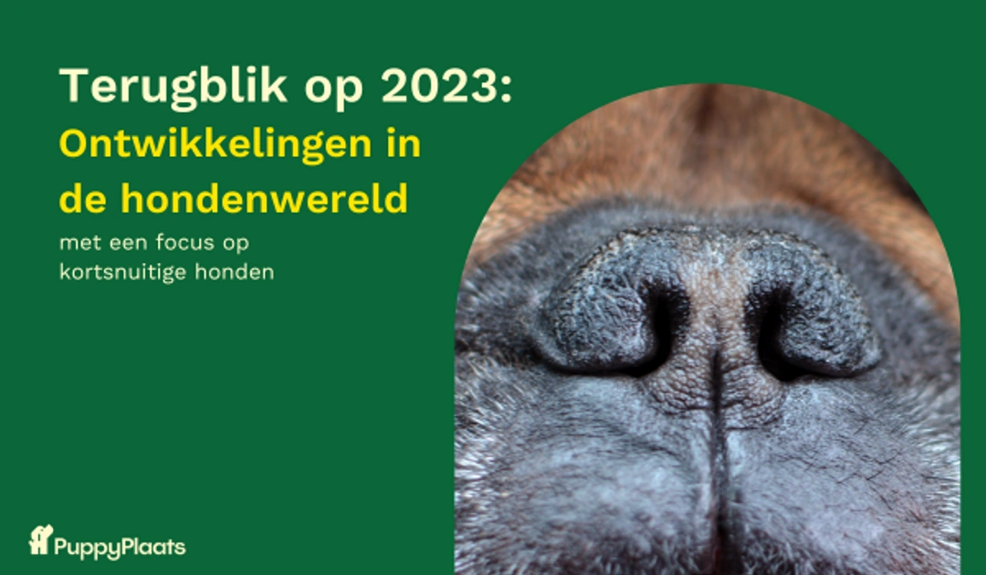 Brancherapport Honden 2023