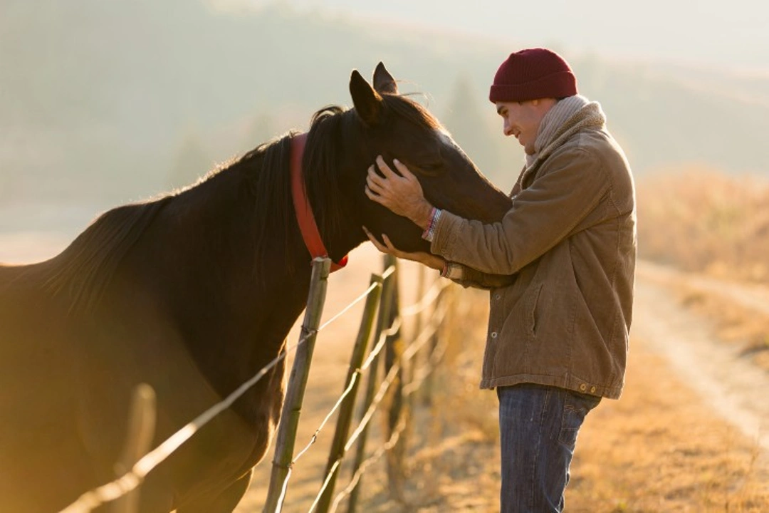 Caring for your horse or pony at Christmas: Essential tips