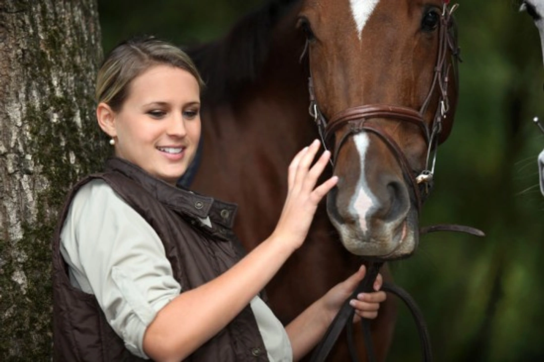 Buying Your First Horse: A Responsible Guide