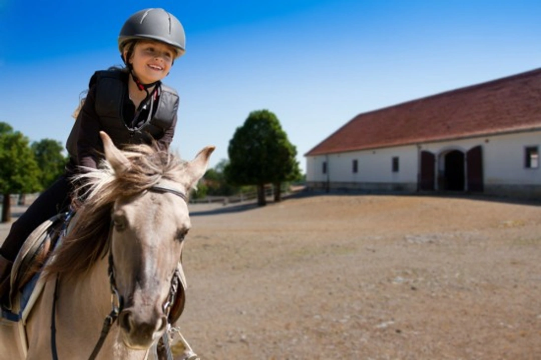 Riding Clothes for Beginners: Safety & Comfort Tips