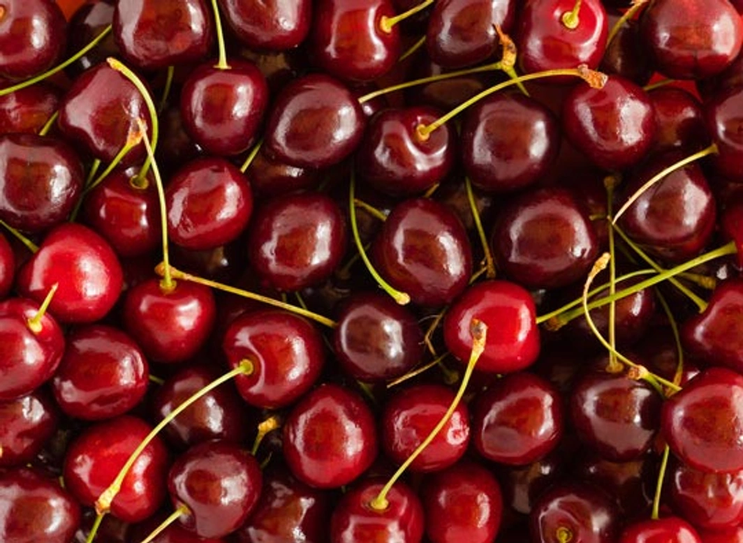 Pitten van kersen giftig voor honden