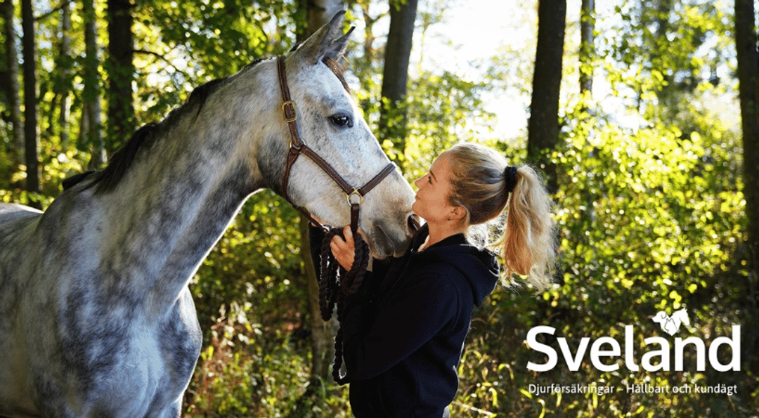 Hästen – en miljöbov?