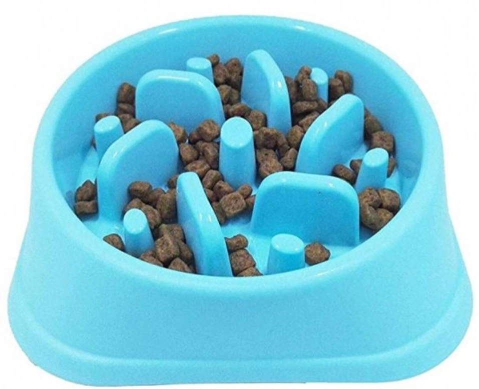 Mi perro come muy rápido ¿Cómo puedo evitarlo?