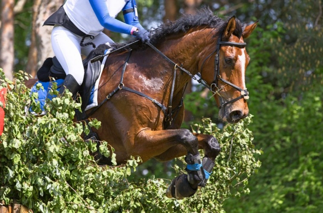 British Eventing in 2025: A First-Timer’s Guide to Eventing