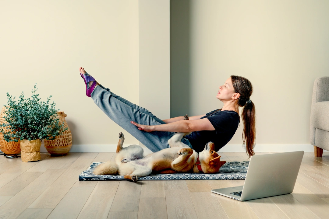 Winter is comming: tips on indoor activities for your dog