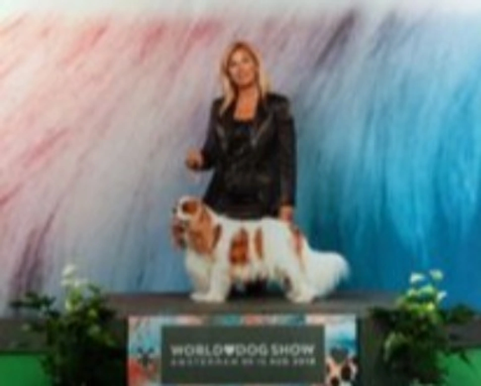 Multi CH Int.Ch ALBERT dei Piccoli Demoni