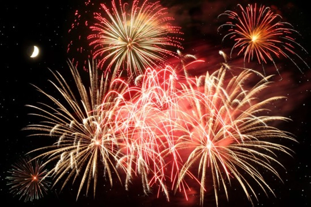 Fireworks and Your Pets: 9 Ways to Keep Them Safe and Calm