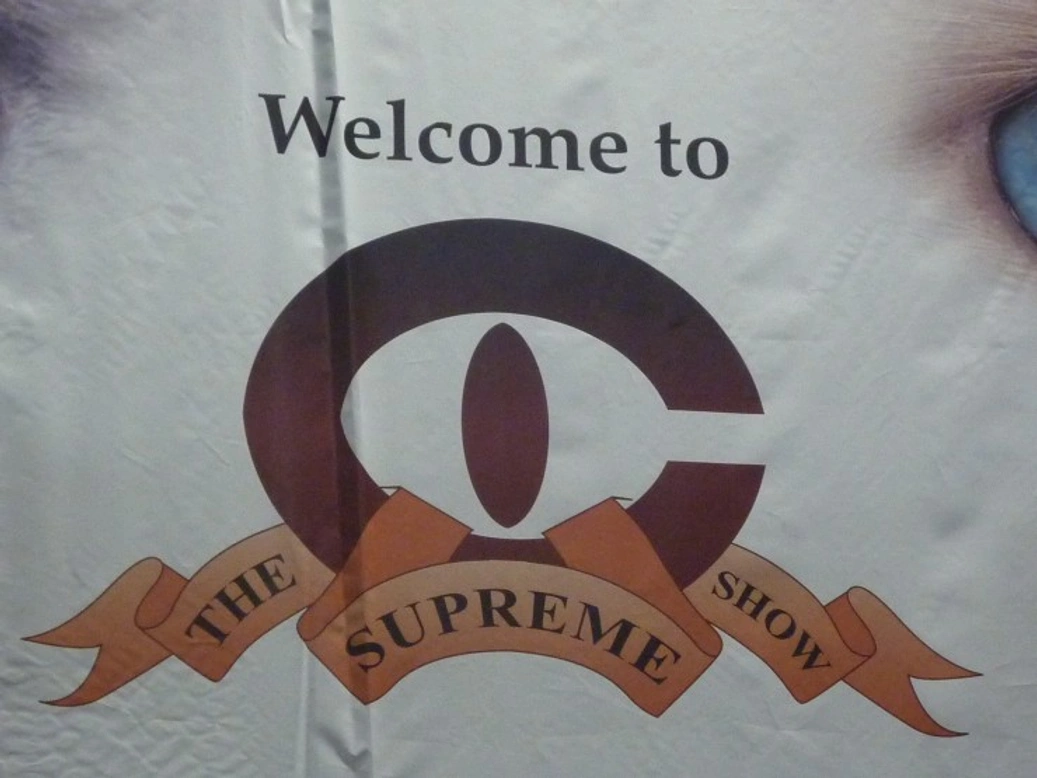 The Supreme Cat Show 2017: A Festival of Feline Excellence