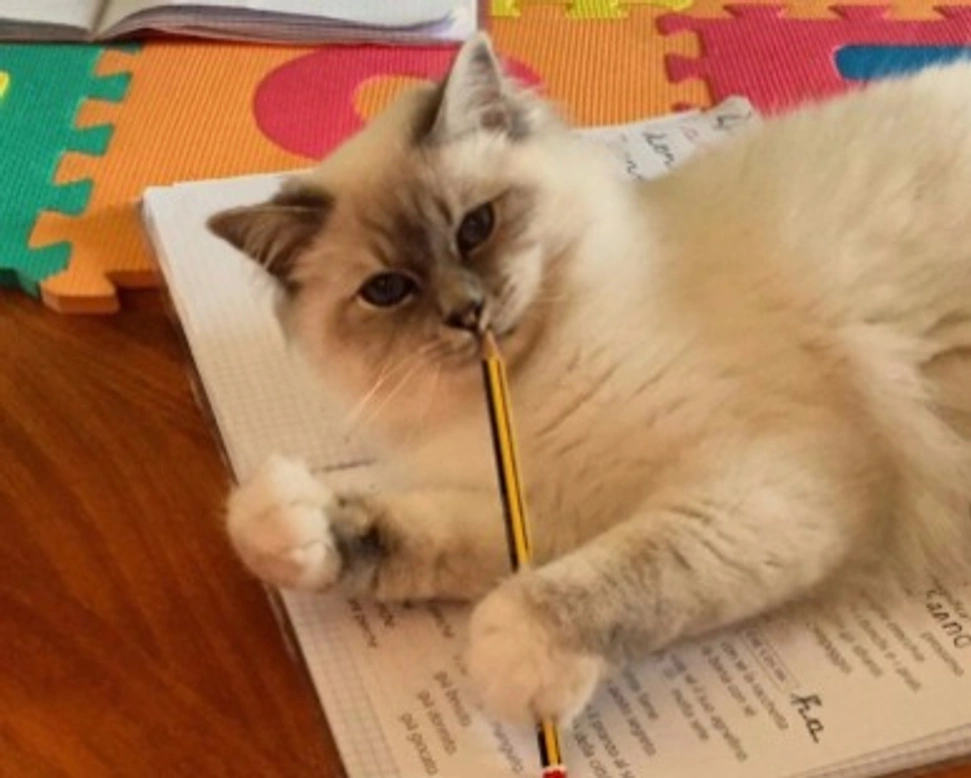 Il carattere del Sacro di Birmania